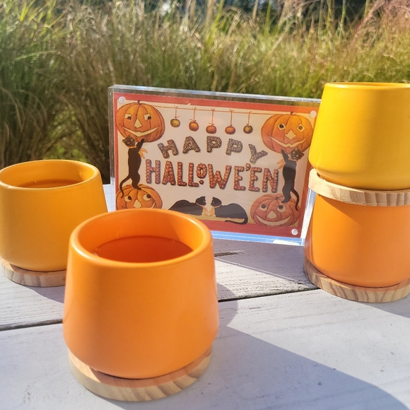 Orange & Yellow Succulent Planters ~ Vases  Candle Holders Boho  Cottage FINAL! - Picture 4 of 16